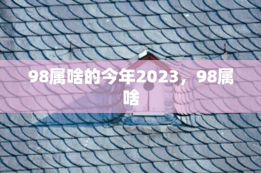 98属啥的今年2023，98属啥