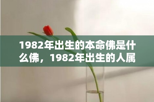 1982年出生的本命佛是什么佛，1982年出生的人属什么生肖