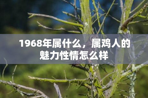 1968年属什么，属鸡人的魅力性情怎么样