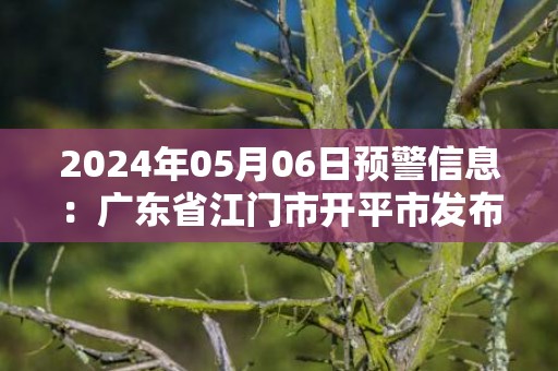 2024年05月06日预警信息：广东省江门市开平市发布冰雹橙色预警