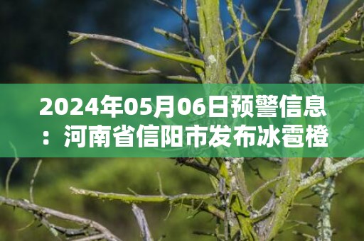 2024年05月06日预警信息：河南省信阳市发布冰雹橙色预警