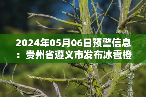 2024年05月06日预警信息：贵州省遵义市发布冰雹橙色预警