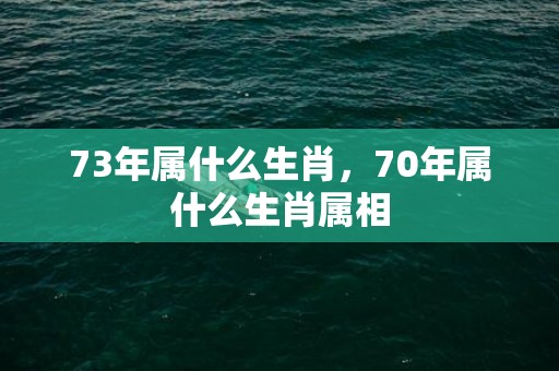 73年属什么生肖，70年属什么生肖属相