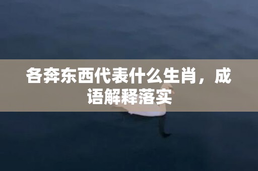 各奔东西代表什么生肖，成语解释落实