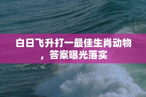 白日飞升打一最佳生肖动物，答案曝光落实