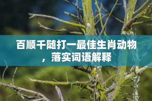 百顺千随打一最佳生肖动物，落实词语解释