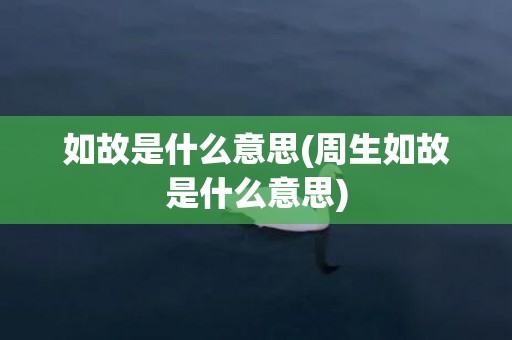 如故是什么意思(周生如故是什么意思)