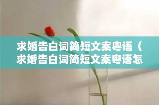 求婚告白词简短文案粤语（求婚告白词简短文案粤语怎么写）