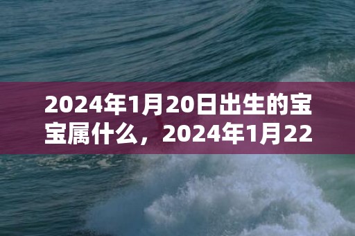 2024年1月20日出生的宝宝属什么，2024年1月22日黄历查询