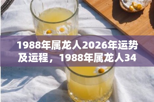 1988年属龙人2026年运势及运程，1988年属龙人34岁桃花运