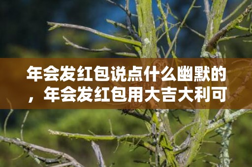 年会发红包说点什么幽默的，年会发红包用大吉大利可以吗