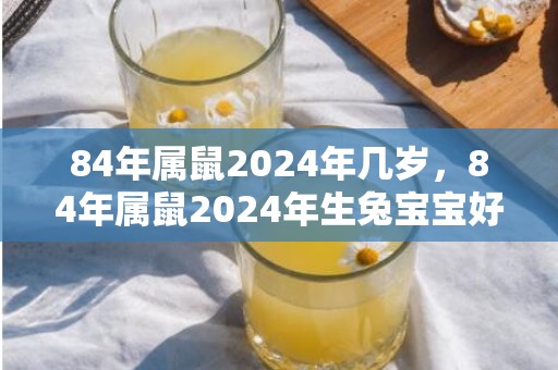 84年属鼠2024年几岁，84年属鼠2024年生兔宝宝好吗