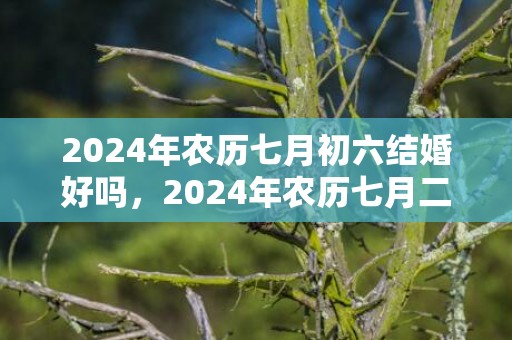 2024年农历七月初六结婚好吗，2024年农历七月二十九女孩出生的命运好不好