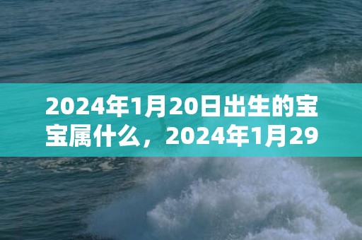 2024年1月20日出生的宝宝属什么，2024年1月29日出生的宝宝好不好