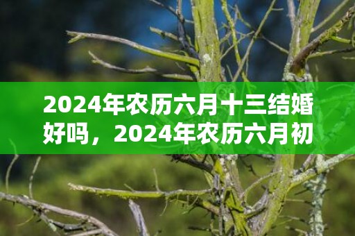 2024年农历六月十三结婚好吗，2024年农历六月初十出生的小女孩最佳取名