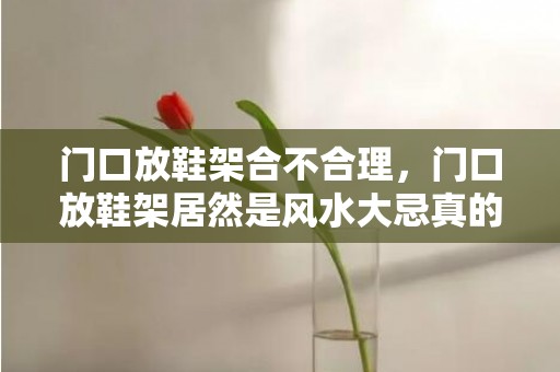 门口放鞋架合不合理，门口放鞋架居然是风水大忌真的吗