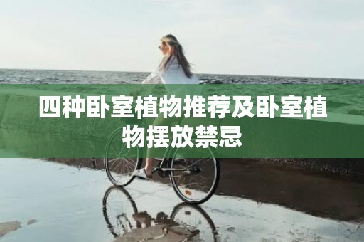 四种卧室植物推荐及卧室植物摆放禁忌