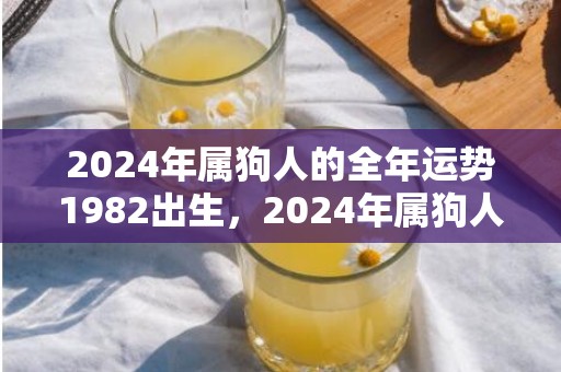 2024年属狗人的全年运势1982出生，2024年属狗人最佳合作伙伴