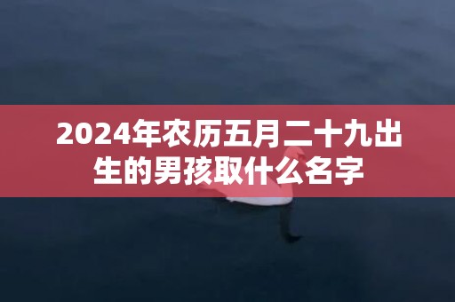 2024年农历五月二十九出生的男孩取什么名字