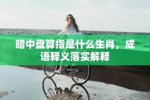 暗中盘算指是什么生肖，成语释义落实解释