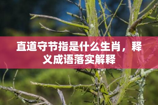 直道守节指是什么生肖，释义成语落实解释插图