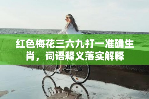 红色梅花三六九打一准确生肖，词语释义落实解释插图