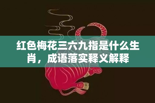 红色梅花三六九指是什么生肖，成语落实释义解释插图