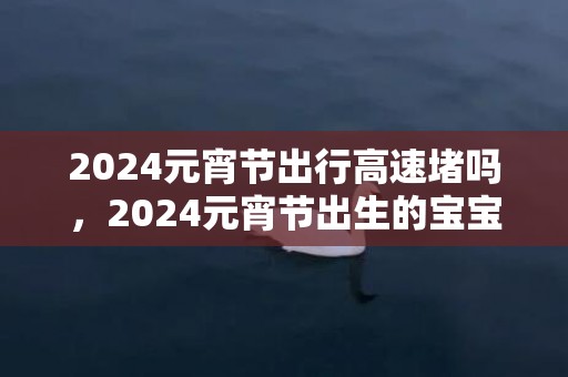 2024元宵节出行高速堵吗，2024元宵节出生的宝宝取名字用字推荐