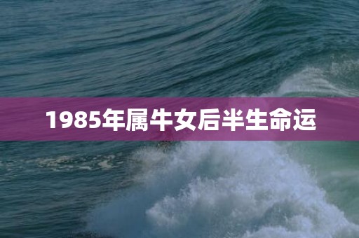 1985年属牛女后半生命运