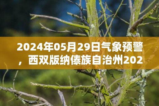 2024年05月29日气象预警，西双版纳傣族自治州2024/05/29周三天气预报 大部小雨转阴