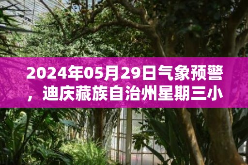 2024年05月29日气象预警，迪庆藏族自治州星期三小雨最高温度19℃