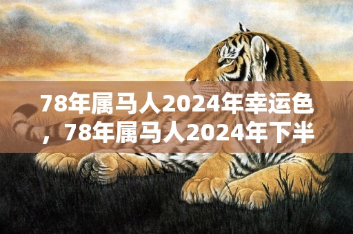 78年属马人2024年幸运色，78年属马人2024年下半年运势