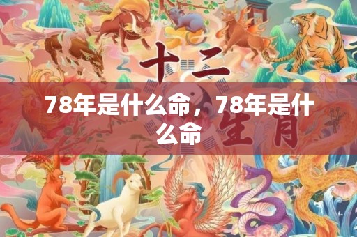 78年是什么命，78年是什么命