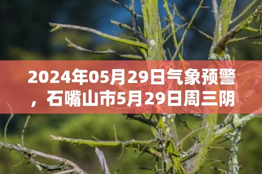 2024年05月29日气象预警，石嘴山市5月29日周三阴转多云最高温度23℃