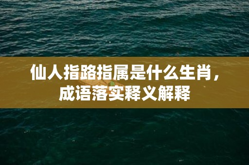 仙人指路指属是什么生肖，成语落实释义解释插图