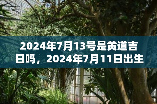 2024年7月13号是黄道吉日吗，2024年7月11日出生的人命好吗男孩