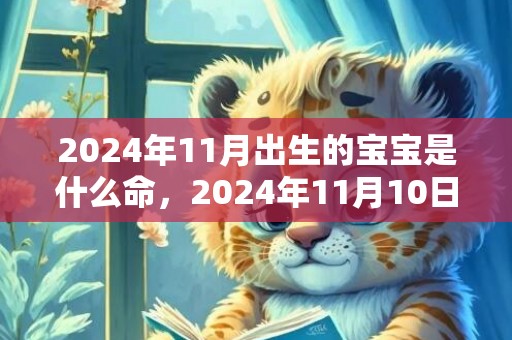 2024年11月出生的宝宝是什么命，2024年11月10日出生小女孩取名方法