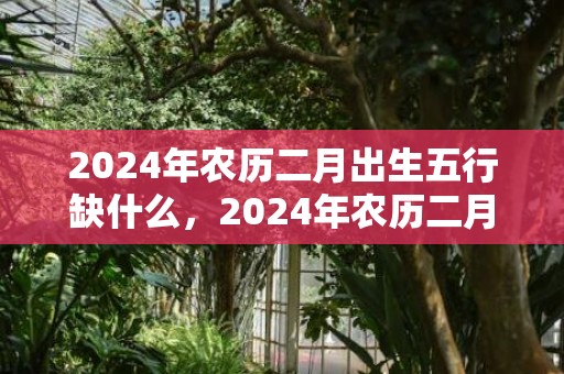 2024年农历二月出生五行缺什么，2024年农历二月二是几月几号