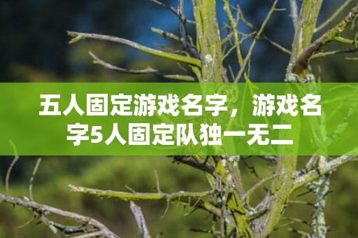 五人固定游戏名字，游戏名字5人固定队独一无二