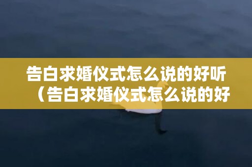 告白求婚仪式怎么说的好听（告白求婚仪式怎么说的好听一点）