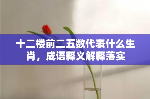 十二楼前二五数代表什么生肖，成语释义解释落实插图