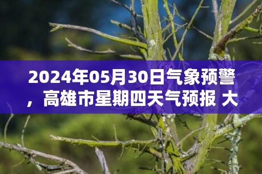 2024年05月30日气象预警，高雄市星期四天气预报 大部小雨