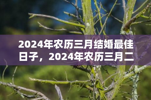 2024年农历三月结婚最佳日子，2024年农历三月二十八日出生的男孩命运怎么样