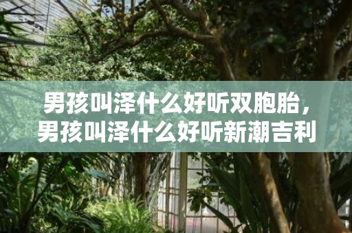 男孩叫泽什么好听双胞胎，男孩叫泽什么好听新潮吉利