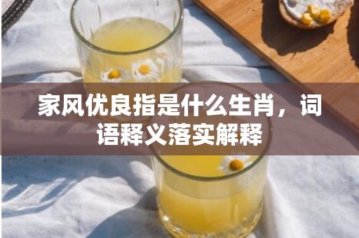 家风优良指是什么生肖，词语释义落实解释