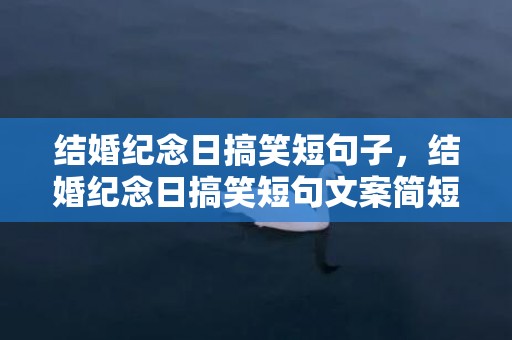 结婚纪念日搞笑短句子，结婚纪念日搞笑短句文案简短 一句话表达结婚纪念日