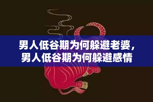 男人低谷期为何躲避老婆，男人低谷期为何躲避感情