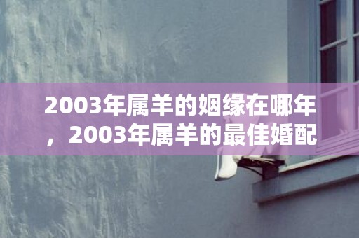 2003年属羊的姻缘在哪年，2003年属羊的最佳婚配是什么