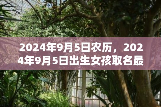 2024年9月5日农历，2024年9月5日出生女孩取名最佳字