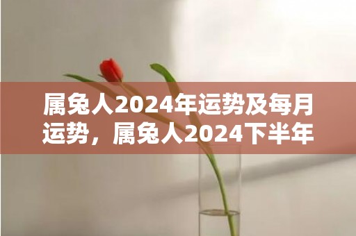 属兔人2024年运势及每月运势，属兔人2024下半年感情婚姻运势好吗